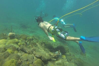 OCTOPUS DIVING (hookah diving) NO Experience Needed - Steps Beach: what the morning (or afternoon) really looks like