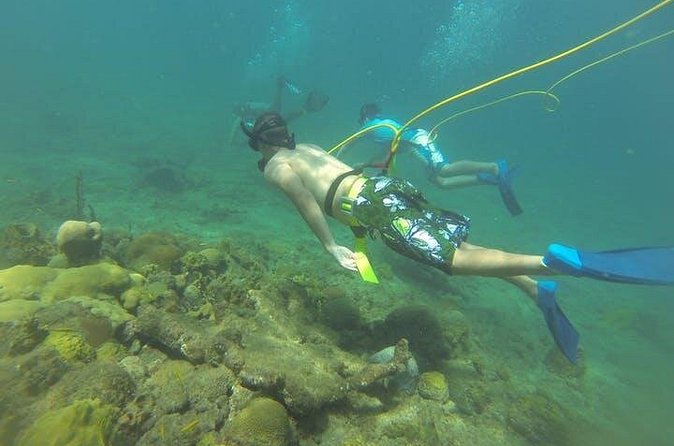 OCTOPUS DIVING (hookah diving) NO Experience Needed - Steps Beach: what the morning (or afternoon) really looks like