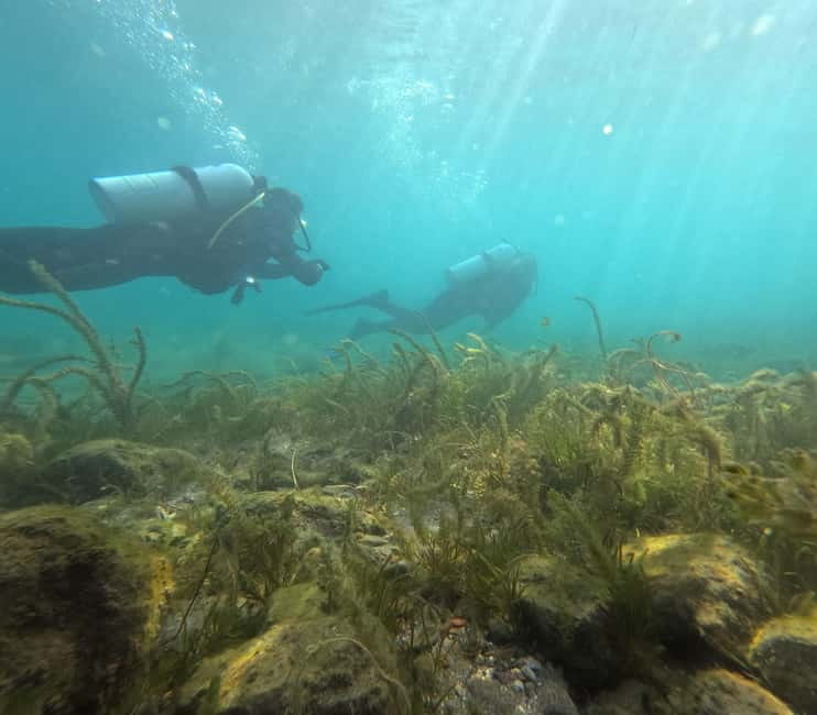 Ohrid: Scuba Diving Experience in Lake Ohrid - Pickup to coffee: what a 1-day schedule really feels like