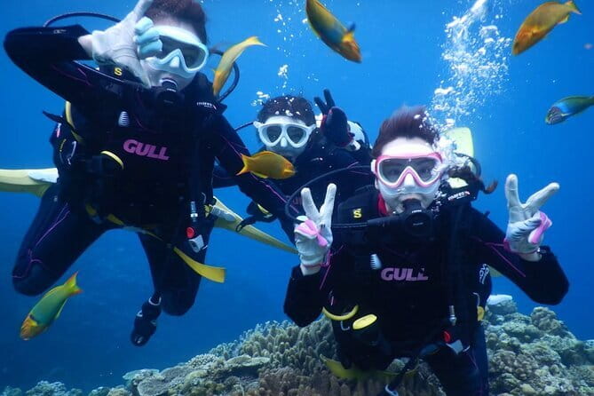 Okinawa: Discover SCUBA Diving 2 Dives at Minna, Sesoko or Motobu - Key takeaways before you go