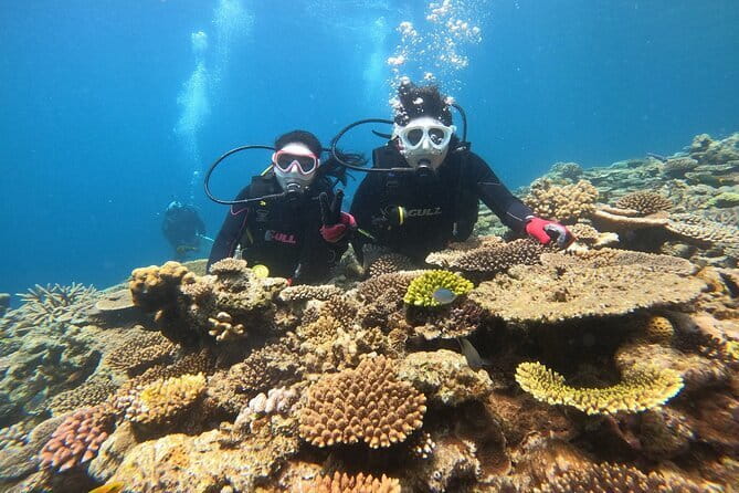 Okinawa: Discover SCUBA Diving 2 Dives at Minna, Sesoko or Motobu - Yamagawa Pier to the islands: why Motobu works so well for beginners