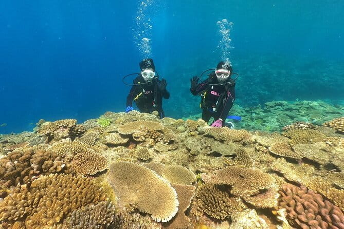 Okinawa: Discover SCUBA Diving 2 Dives at Minna, Sesoko or Motobu - The half-day schedule: paperwork, briefing, then two underwater sessions