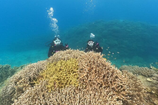 Okinawa: Discover SCUBA Diving 2 Dives at Minna, Sesoko or Motobu - Minna, Sesoko, or Sakimotobu waters: how the boat captain keeps you safe and comfortable