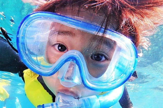 Okinawa: Discover SCUBA Diving 2 Dives at Minna, Sesoko or Motobu - Photos and movie files: bringing home proof you did it