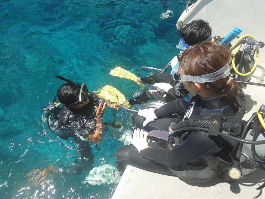 Okinawa:Naha:Kerama Island Experience 1Dive and Snorkeling - Motion sickness help: a quietly smart included feature