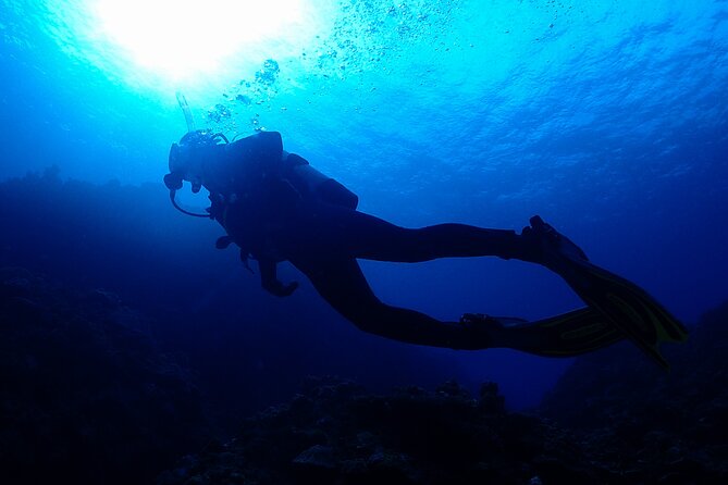 Okinawa Scuba Diving For Certified Divers (3 boat dives + Lunch) - Key things to know before you go