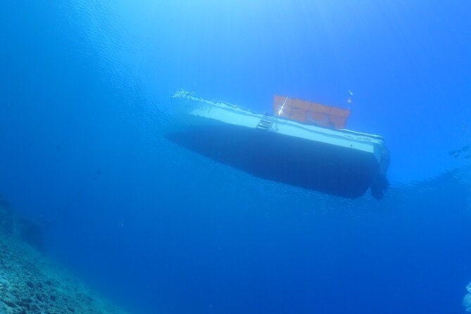 Okinawa Scuba Diving For Certified Divers (3 boat dives + Lunch) - Northern Okinawa’s reef combo: Minna Island plus Sesoko Island