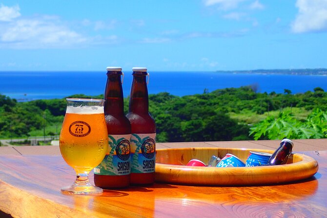 Okinawa Scuba Diving For Certified Divers (3 boat dives + Lunch) - Minna Island: white sandy bottom, coral variety, and good visibility