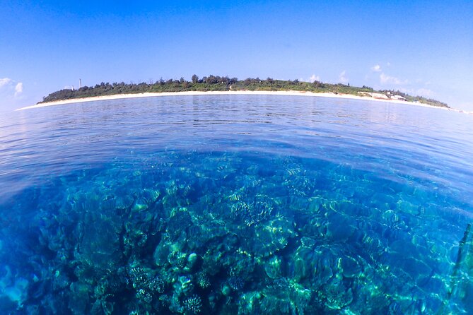 Okinawa Scuba Diving For Certified Divers (3 boat dives + Lunch) - The fisherman’s lunch break: menu choices and a real harbor reset