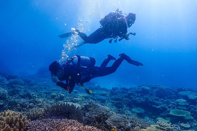 Okinawa Scuba Diving For Certified Divers (3 boat dives + Lunch) - Included gear, photos/videos, and insurance: what saves you money and hassle