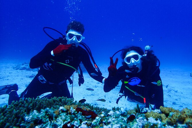 Okinawa: Scuba Diving Tour with Wagyu Lunch and English guide - Key highlights you should care about
