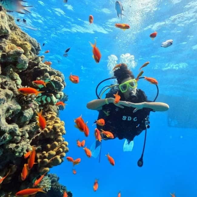 Oludeniz Half Day Scuba Diving Program - Key things to know before you go