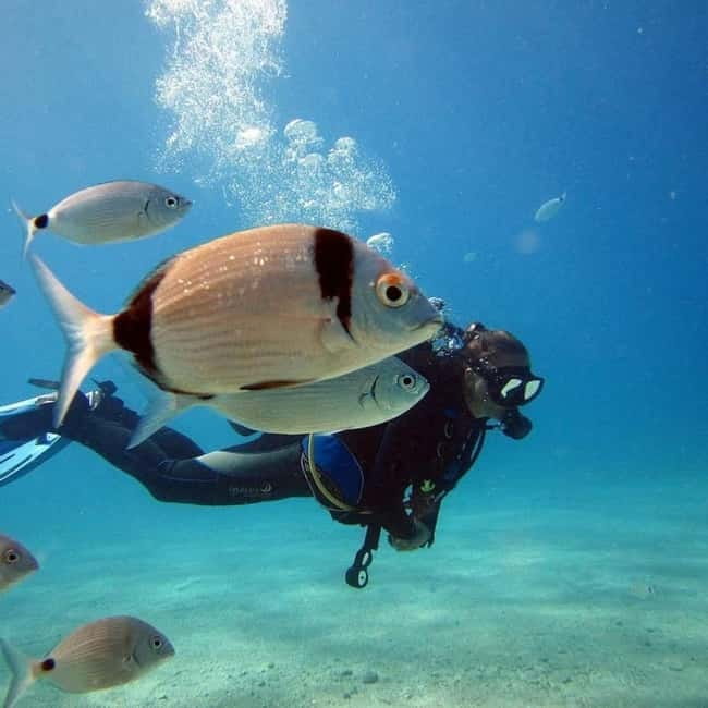 Oludeniz Half Day Scuba Diving Program - Oludeniz’s Land of Lights sets you up for an easy half-day