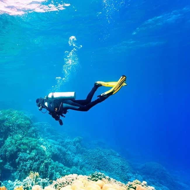 Oludeniz Half Day Scuba Diving Program - What happens in your 3-hour flow: briefing, a 30-minute underwater swim, then back to Oludeniz