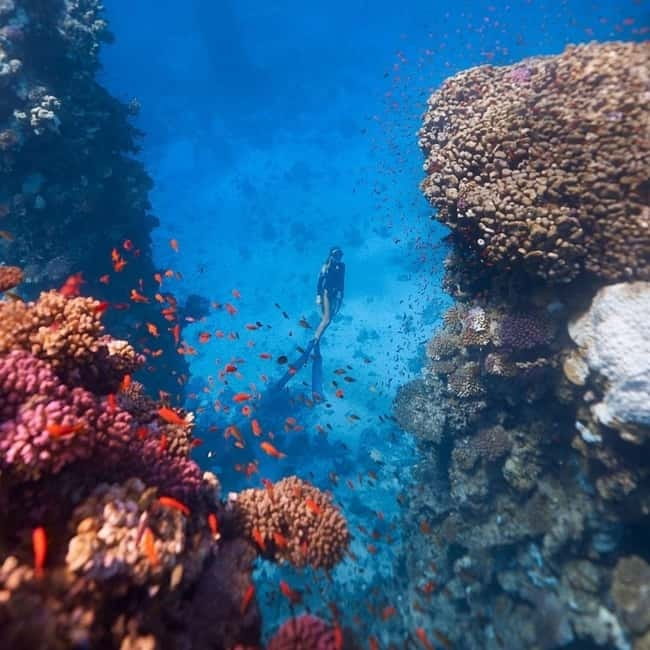 Oludeniz Half Day Scuba Diving Program - Should you book this Oludeniz half-day scuba program?