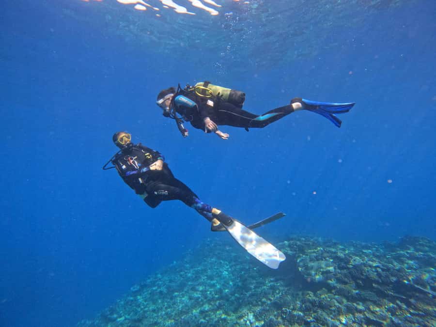 One-hour introduction to scuba diving! - Key highlights that matter in real life
