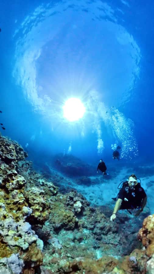 One-hour introduction to scuba diving! - The SSI Basic Diver setup: why it’s a smart first scuba try