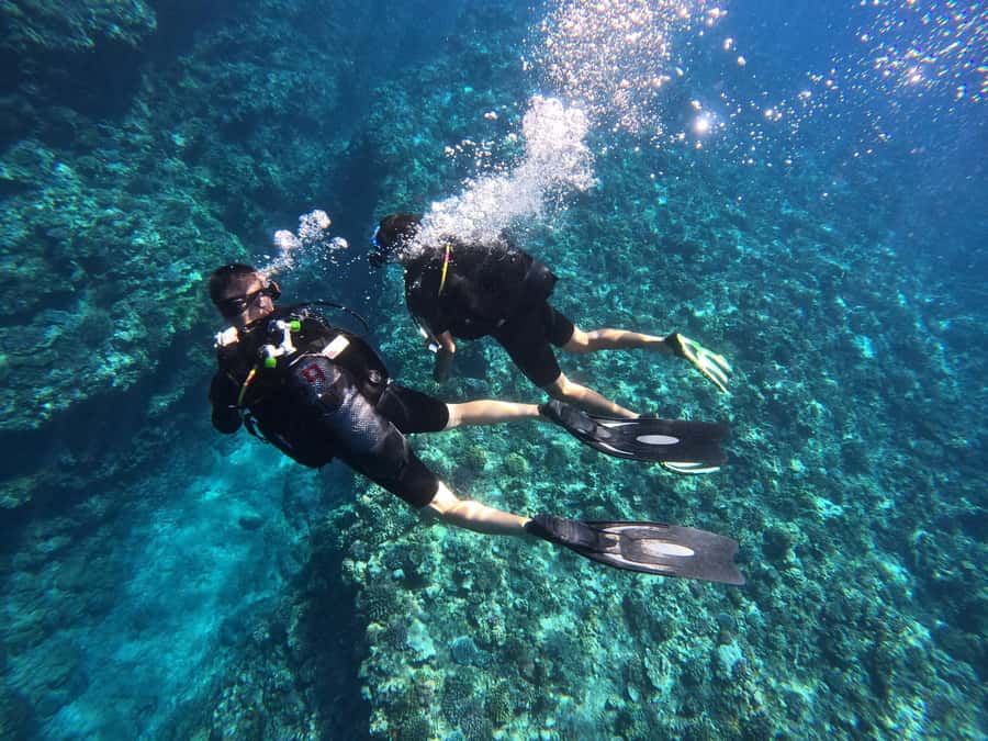 One-hour introduction to scuba diving! - What happens underwater (up to 6 meters in a natural setting)