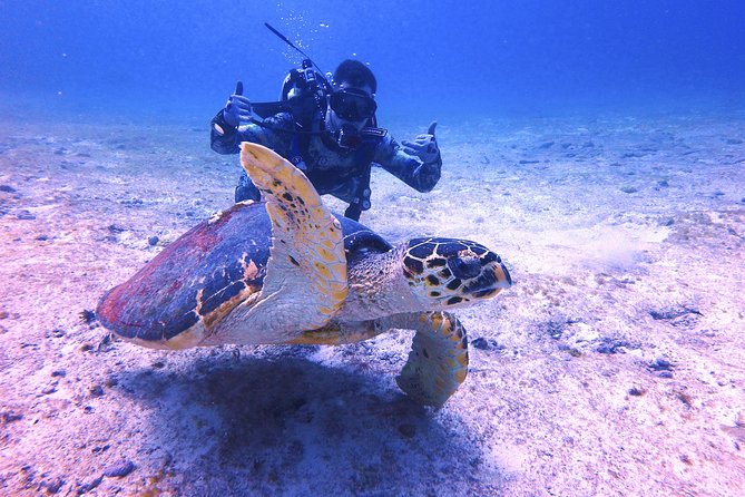 Open Water Certification Course-PADI - Day 3 in the Marine National Park: Final Two Sessions and Graduation
