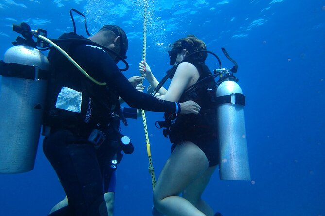 Open Water Certification Course-PADI - Should You Book This Course in Isla Mujeres?