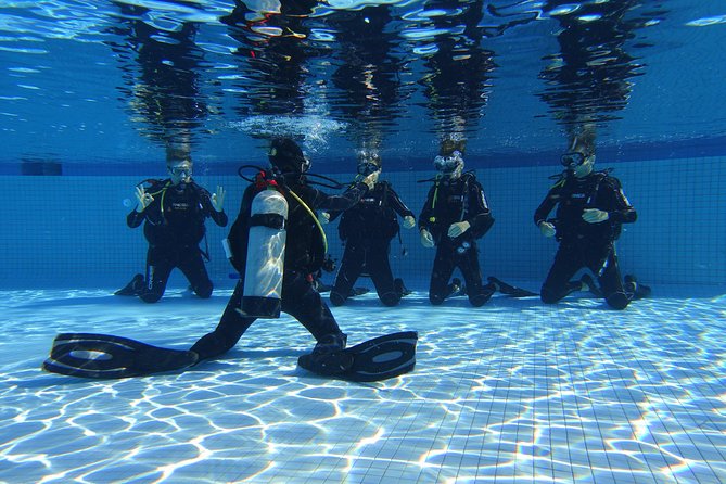 Open Water Diver 2-Day PADI Course in Playa del Carmen - Equipment and computer rental: less hassle, more practice