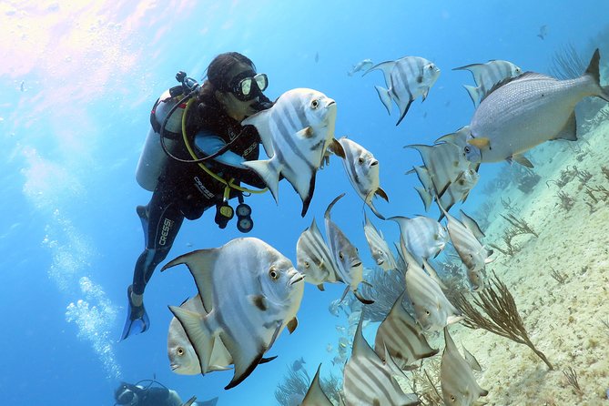 Open Water Diver 2-Day PADI Course in Playa del Carmen - Price and value: what $299 really covers