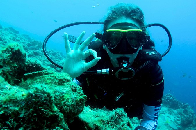 Open Water Diver Course at Blue Bay Dive in Curacao - What could make this a wrong fit