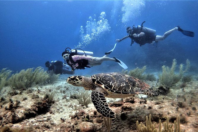 Open Water Diver course PADI in Cancun - Confined Water Training: Pool Skills Built for Real Humans