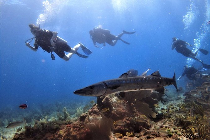 Open Water Diver course PADI in Cancun - Instructor Quality: Why Names Like Patrick and Elana Matter