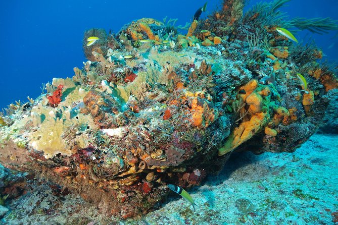 Open Water Diver course PADI including underwater video - Instructors and Safety Style: What the Teaching Approach Looks Like