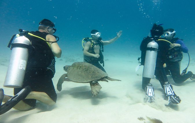 Open Water Scuba Certification - Why Honolulu is a smart place to start scuba