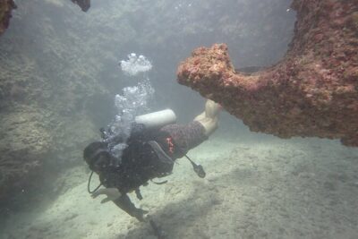 Open Water Scuba Certification - The two-weekend rhythm: beach practice to ocean check-outs