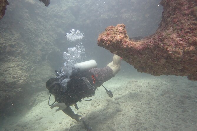 Open Water Scuba Certification - The two-weekend rhythm: beach practice to ocean check-outs