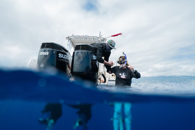 Open Water Shark Dive - The shark briefing that changes your brain