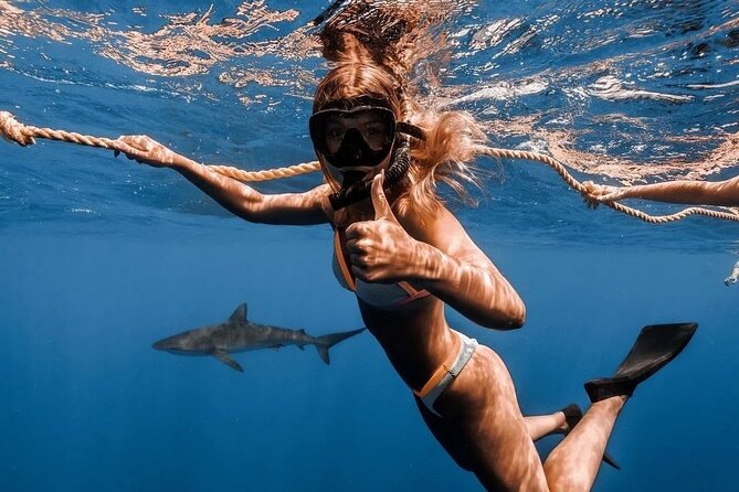 Open Water Shark Dive - In the water: how the safety diver and guest behavior work together