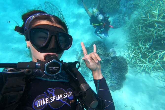 Outer Reef Scuba Diving Day Tour from Agnes Water 1770 - Key things that make this Outer Reef day stand out