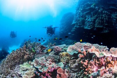 Outer Reef Scuba Diving Day Tour from Agnes Water 1770 - Setting out from 535 Captain Cook Dr at 7:00am