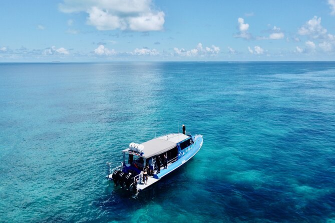 Outer Reef Scuba Diving Day Tour from Agnes Water 1770 - Eye on the Reef: turning your day into something useful