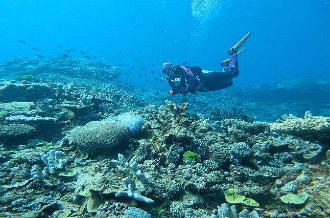 Outer Reef Scuba Diving Day Tour from Agnes Water 1770 - Crew, gear, and safety basics (what “small group” really changes)