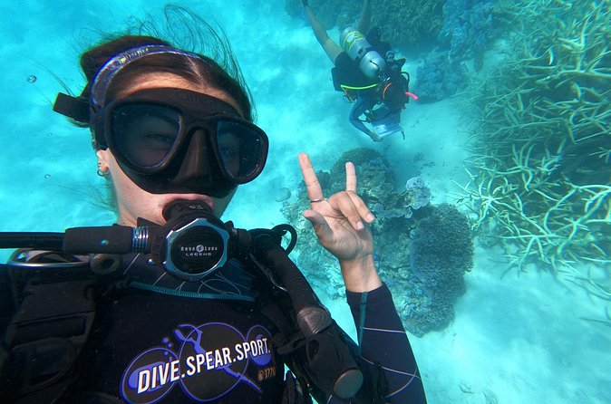 Outer Reef Scuba Diving Day Tour from Agnes Water 1770 - Price and value: what you’re paying for at $307.70