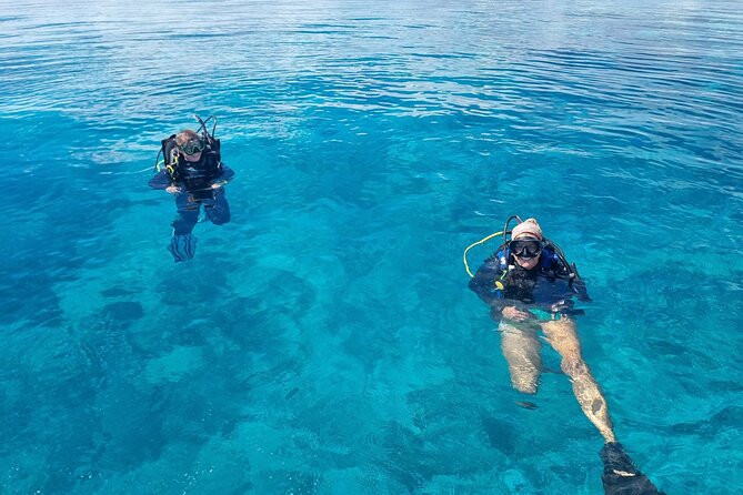 Outer Reef Scuba Diving Day Tour from Agnes Water 1770 - What to bring and how to plan your reef-morning comfort