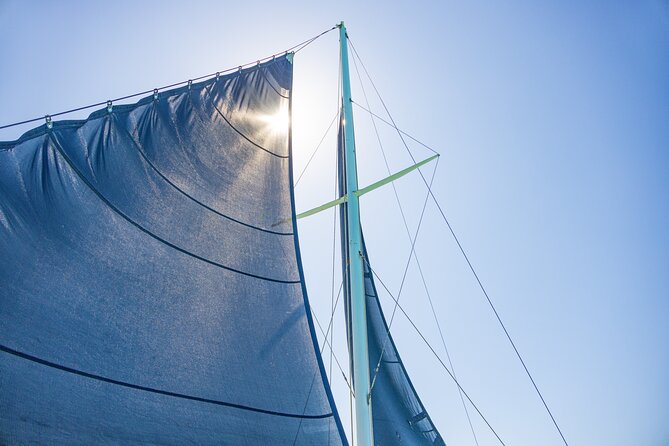 PACKAGE DEAL Catamaran- Snorkeling - Hooka Diving - Parasailing - The 2:00 pm Flow: Reef Time and the 8-Minute Parasail