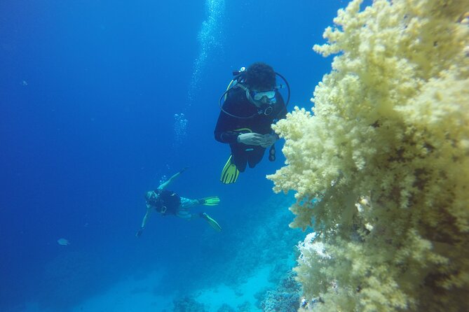 PADI 3 Days Open Water Course - Health, Timing, and Fit: Don’t Skip the Screening