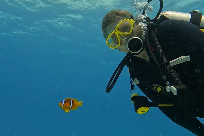 PADI Advanced Diving Course in Hurghada - Learn Scuba Diving - PADI Advanced Open Water in Hurghada: what this course really is