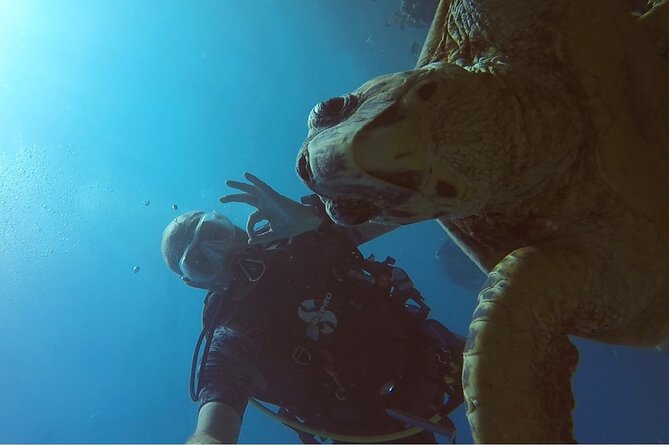 PADI Advanced Diving Course in Hurghada - Learn Scuba Diving - Day 2: completing the remaining adventure sessions