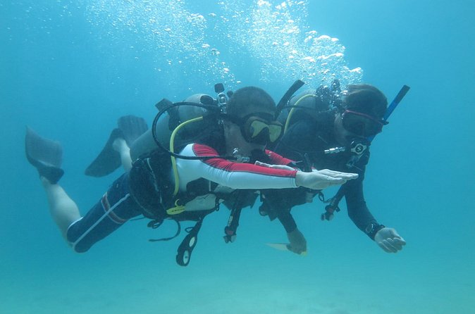 PADI advanced open water course - Choosing Your Three Electives: Making the Course Fit Your Goals
