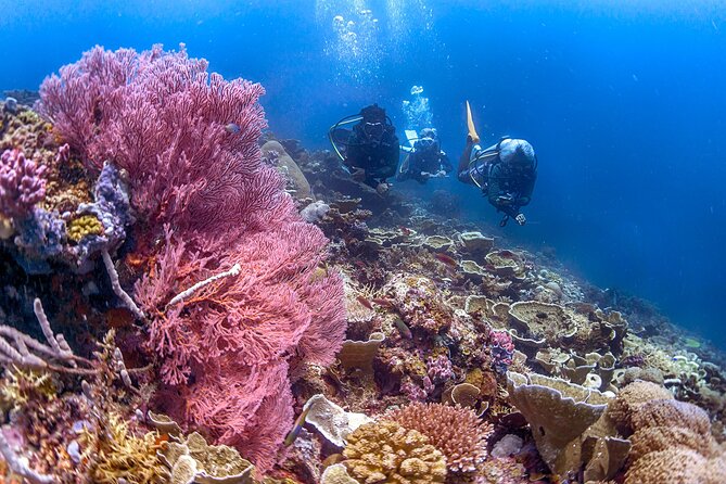 PADI Advanced Open Water Course Kota Kinabalu - Equipment, boat day comfort, and what’s actually included