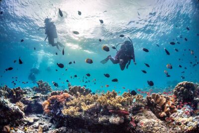 PADI Advanced Open Water Course Kota Kinabalu - Your two-day schedule: what 8 hours becomes across the weekend