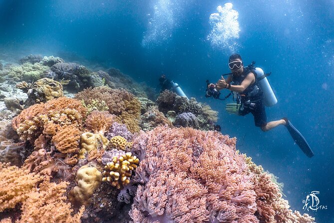 PADI Advanced Open Water Course Kota Kinabalu - Night-session option: cool idea, but don’t count on it