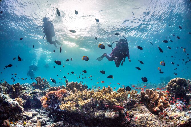 PADI Advanced Open Water Course Kota Kinabalu - Your two-day schedule: what 8 hours becomes across the weekend